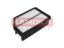 KAMOKA F226301