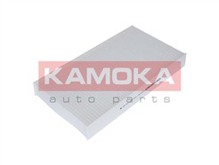 KAMOKA F404701