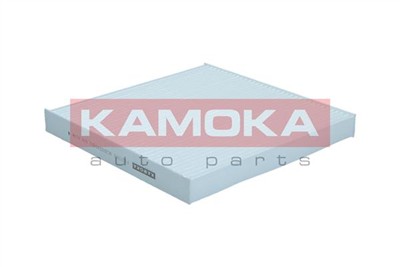 KAMOKA F427301