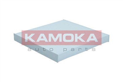 KAMOKA F427301