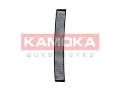 KAMOKA F504301