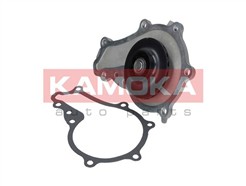 KAMOKA T0081