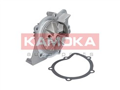 KAMOKA T0091