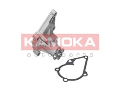 KAMOKA T0156