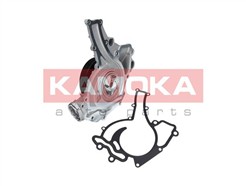 KAMOKA T0195