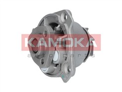 KAMOKA T0256