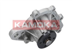 KAMOKA T0259