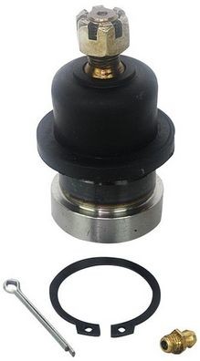 DENCKERMANN D110177