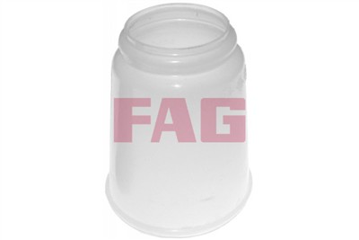 FAG 810 0111 10 EAN: 4014870399368.