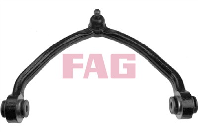FAG 821 0124 10 EAN: 4014870398415.