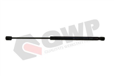 QWP WGS300