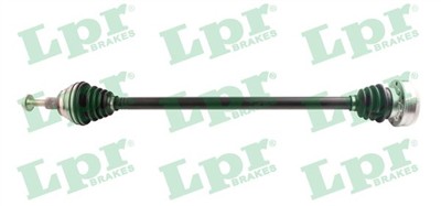 LPR DS52194 Číslo výrobce: DS52194. EAN: 8032928084321.