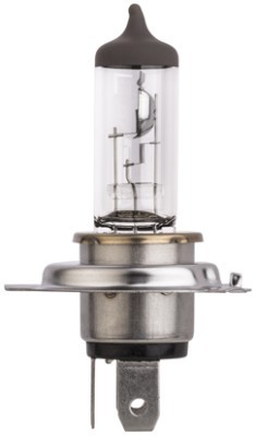 HELLA 8GJ 329 393-043