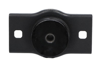 KAVO PARTS EEM-1007 EAN: 8715616240338.