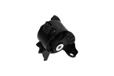 KAVO PARTS EEM-2070 EAN: 8715616198226.