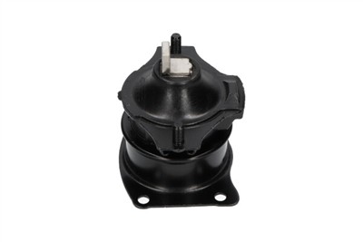 KAVO PARTS EEM-2096 EAN: 8715616204255.