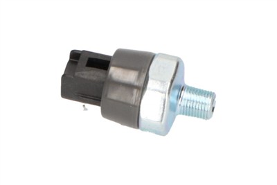 KAVO PARTS EOP-10001 EAN: 8715616360593.
