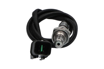 KAVO PARTS EOS-5533 EAN: 8715616202169.
