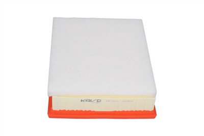 KAVO PARTS FAF-10310 EAN: 8715616438834.