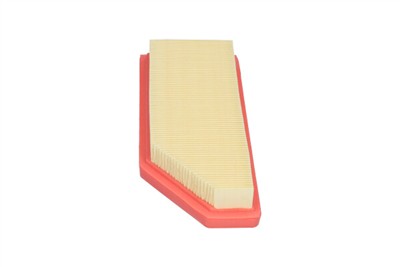 KAVO PARTS FAF-10917 EAN: 8715616444903.