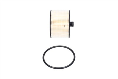 KAVO PARTS FFF-10101 EAN: 8715616450492.