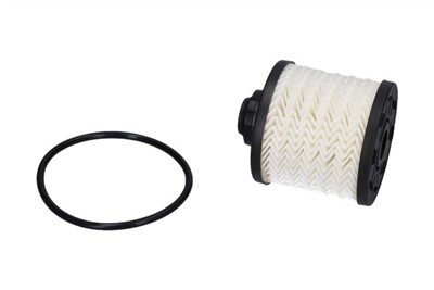 KAVO PARTS FFF-10317 EAN: 8715616452519.