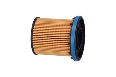 KAVO PARTS FOF-10020 EAN: 8715616446907.