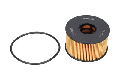KAVO PARTS FOF-10171 EAN: 8715616448383.