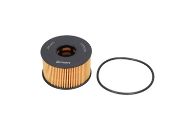 KAVO PARTS FOF-10171 EAN: 8715616448383.
