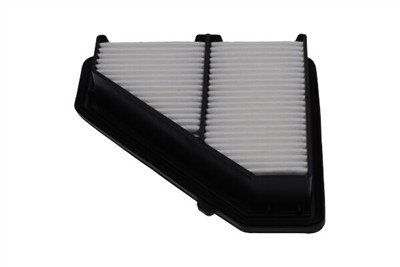 KAVO PARTS HA-8667 EAN: 8715616189583.