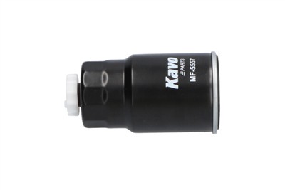 KAVO PARTS MF-5557 EAN: 8715616265508.