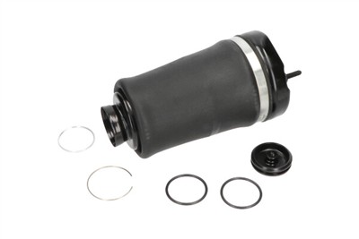 KAVO PARTS SAS-10004 EAN: 8715616365789.