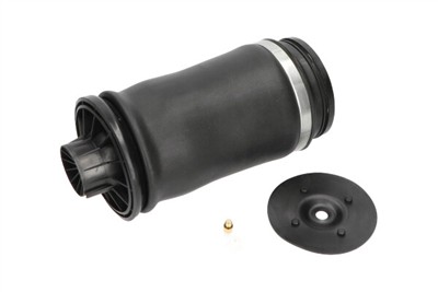 KAVO PARTS SAS-10010 EAN: 8715616365840.