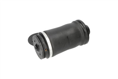 KAVO PARTS SAS-10010 EAN: 8715616365840.