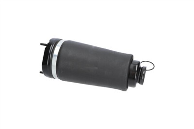 KAVO PARTS SAS-10031 EAN: 8715616366052.