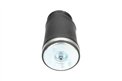 KAVO PARTS SAS-10036 EAN: 8715616366106.