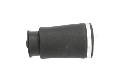 KAVO PARTS SAS-10036 EAN: 8715616366106.