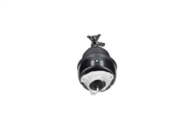 KAVO PARTS SAS-10071 EAN: 8715616474252.
