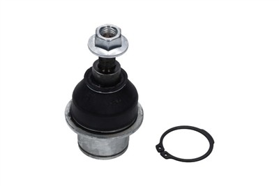 KAVO PARTS SBJ-10219 EAN: 8715616435925.