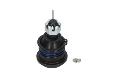 KAVO PARTS SBJ-5515 EAN: 8715616028424.