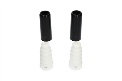 KAVO PARTS SPK-10010 EAN: 8715616355612.