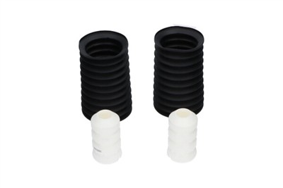 KAVO PARTS SPK-10081 EAN: 8715616415262.