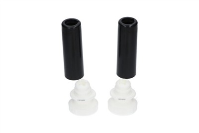 KAVO PARTS SPK-10089 EAN: 8715616415347.