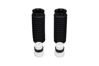 KAVO PARTS SPK-10096 EAN: 8715616415415.