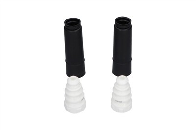 KAVO PARTS SPK-10098 EAN: 8715616415439.