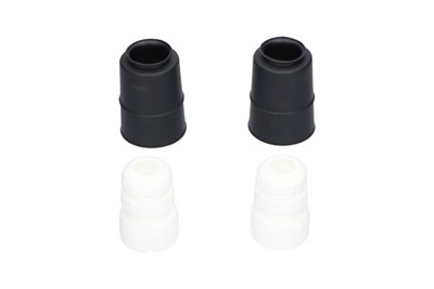 KAVO PARTS SPK-10099 EAN: 8715616415446.