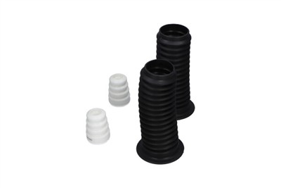 KAVO PARTS SPK-10100 EAN: 8715616415453.