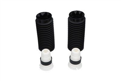 KAVO PARTS SPK-10118 EAN: 8715616415637.