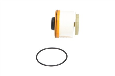 KAVO PARTS TF-1591 EAN: 8715616060677.