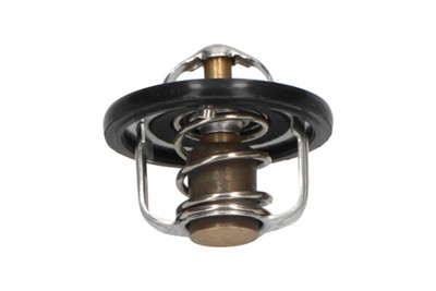 KAVO PARTS TH-1001 EAN: 8715616045490.